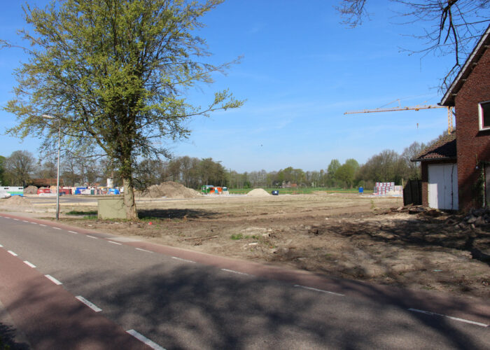 De eerste woningen