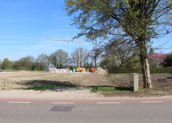 De eerste woningen